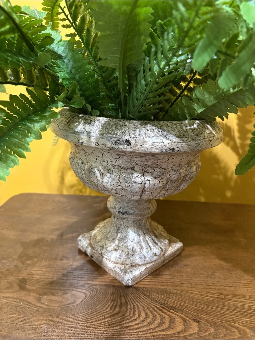 Classic Stone (ceramic) Urn Planter with Lush Green Fern